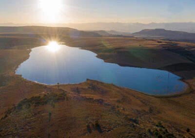 docbro-properties-importers-distributers-_0003_4