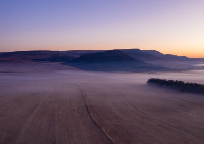 docbro-properties-importers-distributers-_0005_6