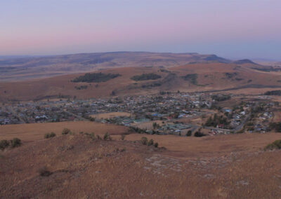 docbro-properties-importers-distributers-_0006_7