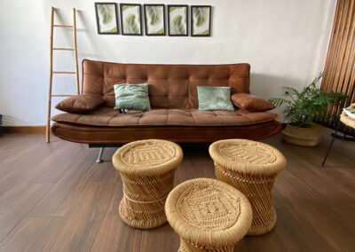 docbro-properties-importers-distributers-inport-_0010_11